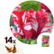 Plant in a Box - Tulipa Estella Rijnveld - 14x Tulpenbollen - Winterharde Bloembollen voor Tuin, Terras of Balkon