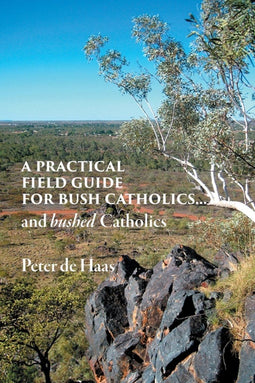 Peter De Haas - Praktische Gids voor Katholieken - Spirituele ondersteuning - Paperback