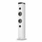 NGS SKYCHARMPROWHITE - Draagbare Bluetooth®-luidspreker - 50W - Wit