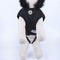 DARTH VADER - Honden Hoodie - XXS (Lengte 22cm - Borst 34-42cm)