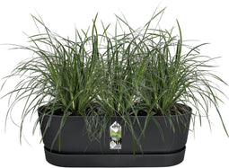 Elho Greenville Easy Balcony 52 - Balkonbak met Ophanging - 100% Gerecycled Plastic - L52 x B21.2 x H19.4 cm - Living black