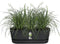 Elho Greenville Easy Balcony 52 - Balkonbak met Ophanging - 100% Gerecycled Plastic - L52 x B21.2 x H19.4 cm - Living black
