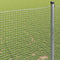 vidaXL - Gevlochten - Draadhek - 1,2x50 - m - Gegalvaniseerd - Staal