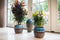 DBT Bloempot Blauw-Multicolour D 16 cm H 13 cm