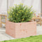 vidaXL - Plantenbak - 80x80x46 - cm - massief - douglashout