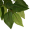 vidaXL - Kunstplant - ficus - 1260 - bladeren - 200 - cm - groen