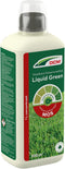 DCM LIQUID GREEN 1 L