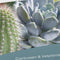 DCM POTGR CACTUS/VETPLANTEN 10L