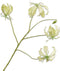 Silk-ka Kunstbloem-Zijden Bloem Gloriosa Tak Groen-Lime 89 cm