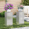 vidaXL - Buiten - Plant - Stands - Pilaar - 2 - stuks - 24x24x55 - cm - Roestvrijstaal