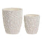 Grondlegger Home ESPRIT Cement 24 x 24 x 28 cm (2 Onderdelen)