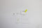 Apple AirPods Pro 3 - Draadloze oordopjes - ANC - Wit