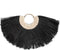 De Alang Cowrie op Stand - Decoratie