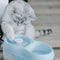 De Boon Waterbak drinkfontein Kat H20 2L