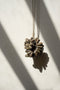 De Brown Cowrie Shell Hangdecoratie