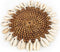 De Cactus Shell Spiegel - Wit