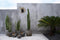 De Cactus Shell Spiegel - Wit