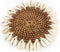 De Cactus Shell Spiegel - Wit