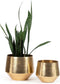 De Gehamerde Planter - Messing - XL