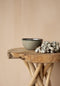 De Grey Shell Hangdecoratie