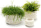 De Kai Macrame Plantenhouder - Wit - M