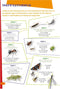 De leukste insectengids voor kids