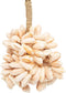 De Pink Shell Hangdecoratie