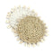 De Seagrass Shell Onderzetter - Wit