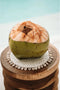 De Seagrass Shell Pan Coaster - Wit