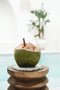 De Seagrass Shell Pan Coaster - Wit