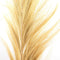 De Stunning Leaf - Naturel - Set van 6