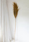 De Stunning Leaf - Naturel - Set van 6