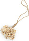 De Vanilla Shell Hangdecoratie