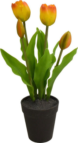 Driesprong collection - Tulp in Pot 30,5cm Rood/geel