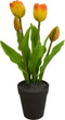 Driesprong collection - Tulp in Pot 30,5cm Rood/geel