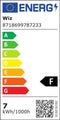 WiZ Filament amber ST64 E27 - Slimme LED-lampen met dimmer - Instelbaar wit licht (2 stuks)