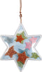Deco ster, h: 10 cm, 5 stuks, transparant