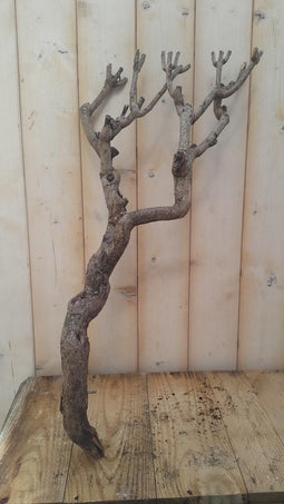 Decoratie tak klein 20 tot 30 cm