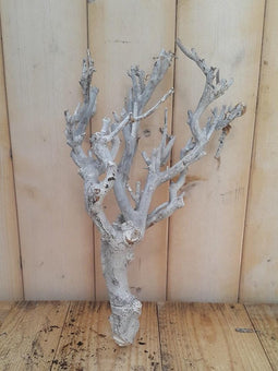 Decoratie tak wit 20 tot 30 cm