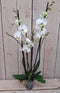 Decoratief Beeld - Kamerplant Vlinderorchidee Phalaenopsis Takken - Kunststof - Warentuin Natuurlijk - Groen