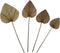 Decoratief palmblad set van 4 - Naturel - Palmblad