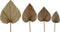 Decoratief palmblad set van 4 - Naturel - Palmblad