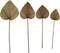 Decoratief palmblad set van 4 - Naturel - Palmblad