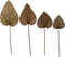 Decoratief palmblad set van 4 - Naturel - Palmblad