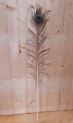 Decoratietak Pauwveer Warentuin NatuurlijkWarentuin Natuurlijk set van 3 veren