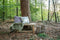 Decoratieve bank Lawas - 100x27x46 - Naturel - Teak