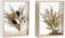 Decoratieve Bloem DKD Home Decor