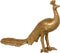 Decoratieve figuren 26 x 7 x 19 cm Gouden Pauw