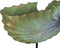 Decoratieve figuren Bruin Groen Schelp 30 x 12 x 30 cm