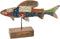 Decoratieve figuren Calypso Vis 51 x 13 x 28 cm Teakboom Multicolour